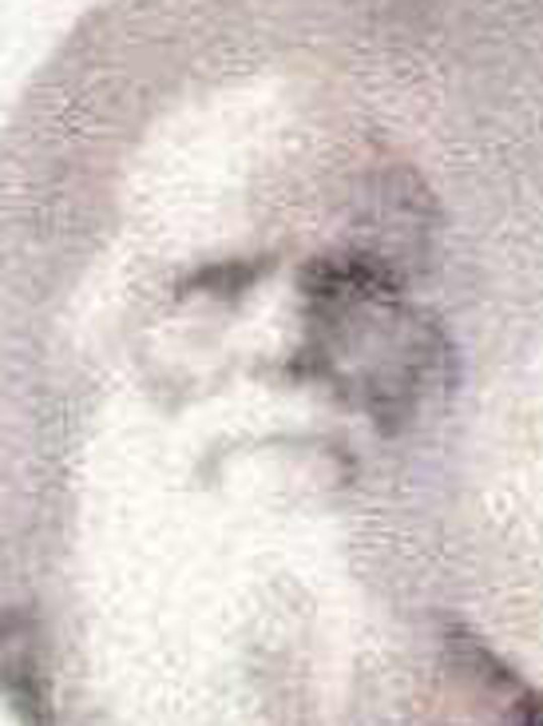 John Lang (1832 - 1909) Profile